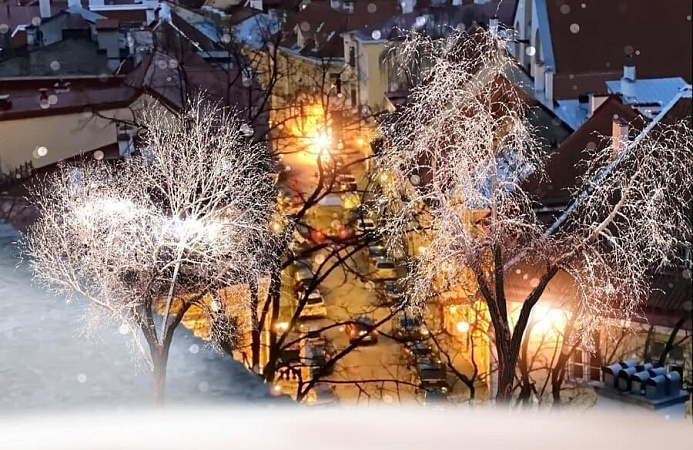 Фото: freepik.com