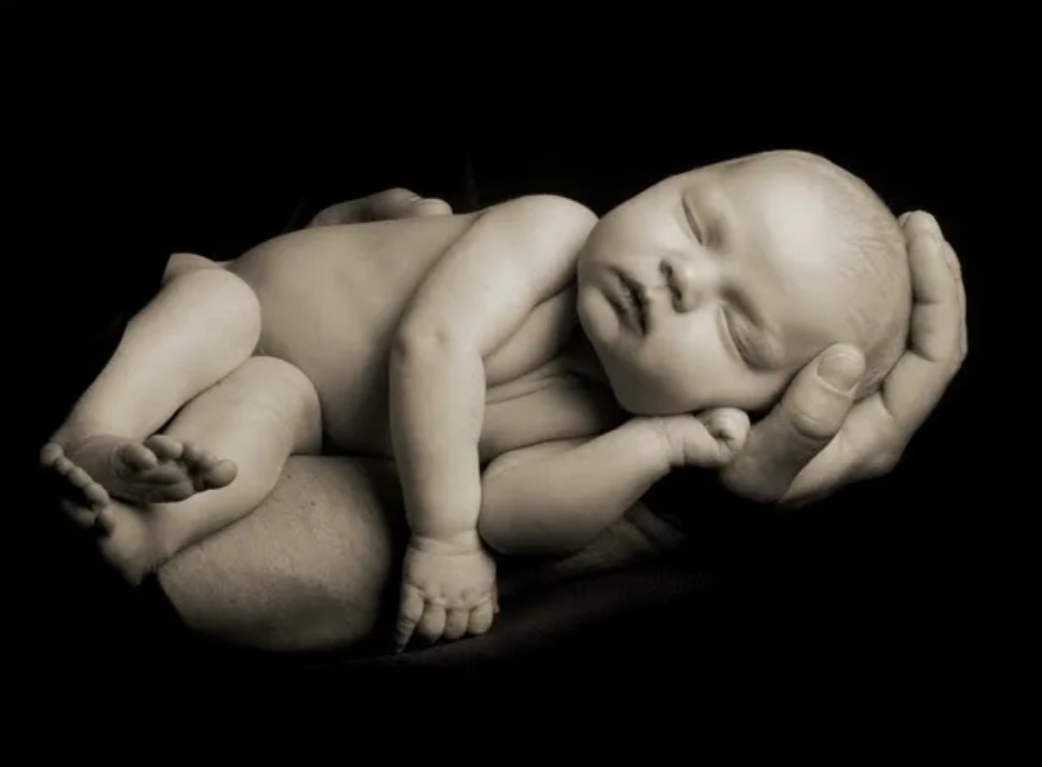 Изображение взято из сети интернет