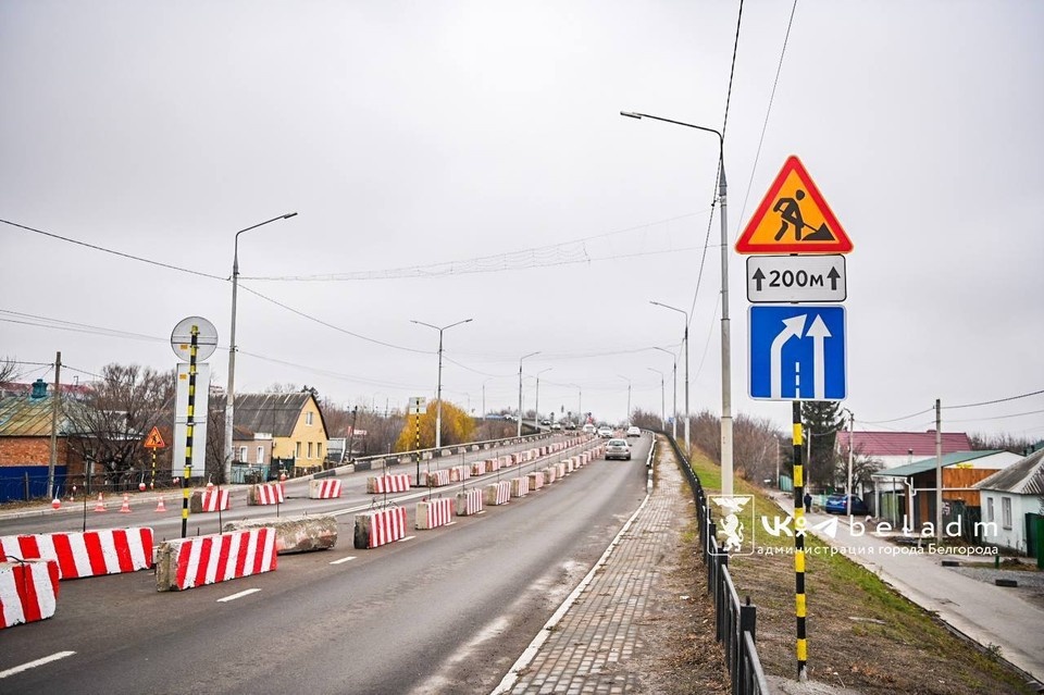    Фото: @beladm31.