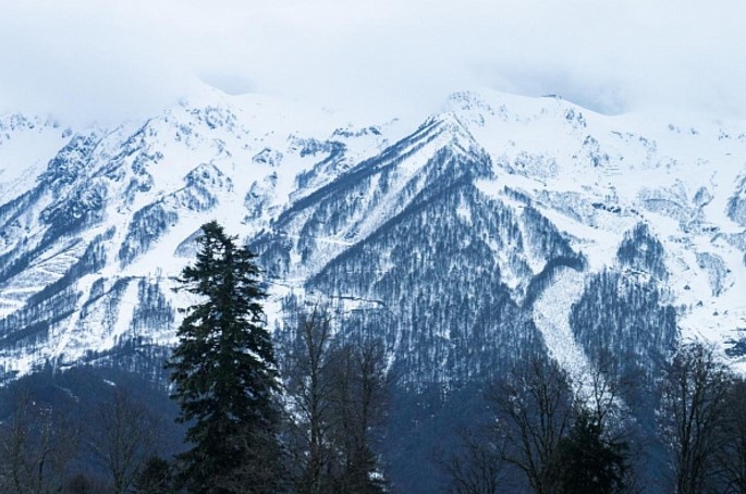    администрация Сочи