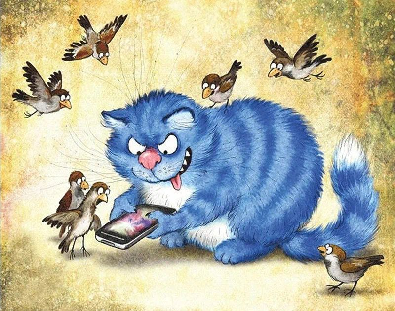 котик Рины Зенюк