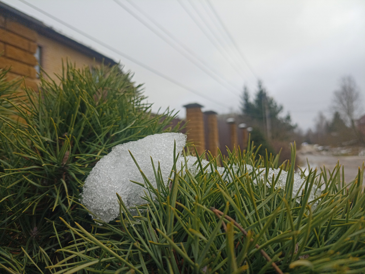 По дороге в Рай