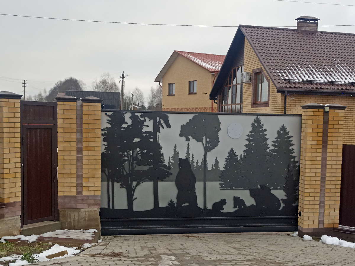 Лес и медведи