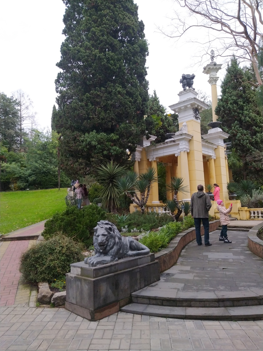 Дендрарий в Сочи зимой