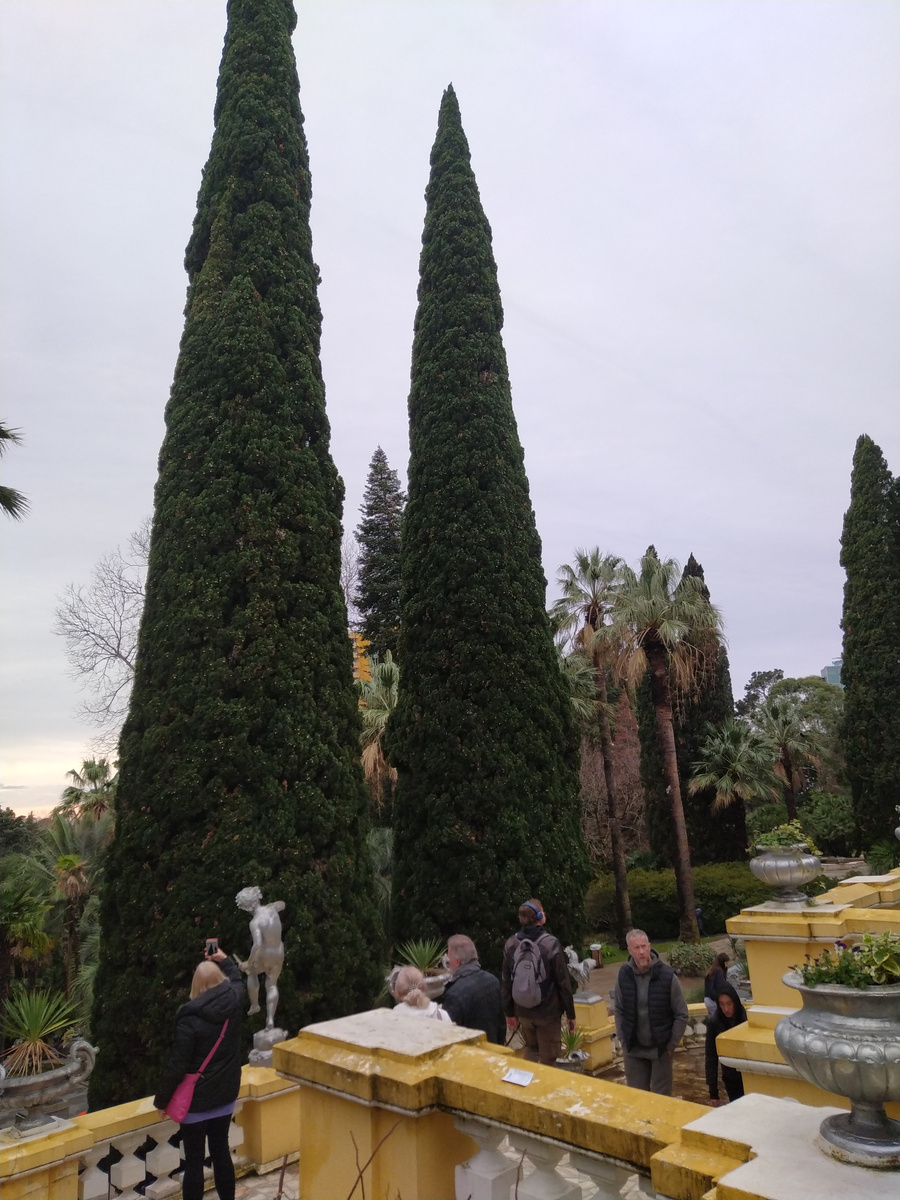 Дендрарий в Сочи зимой