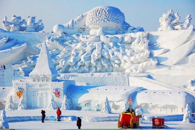    ФОТО: t.me/kostroma_university