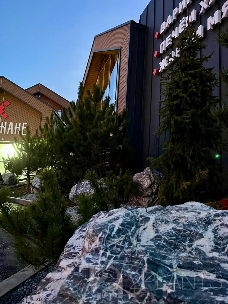 Хвойные растения в озеленении территории 