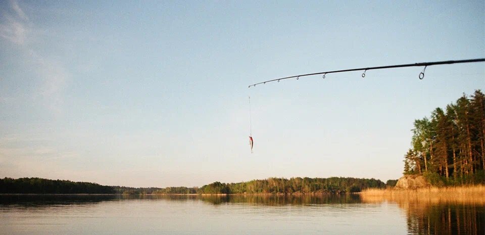 Суточная норма — 15 кг рыбы на человека, но есть виды, на которые действуют отдельные ограничения: например, нельзя ловить более 1 кг сига. Фото: Денис Буркин / Яндекс Карты