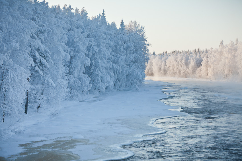 В иллюстративных целях фото из открытого доступа