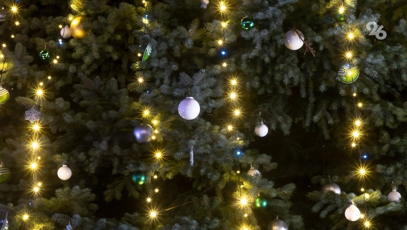      Фото: ИА «Победа26»