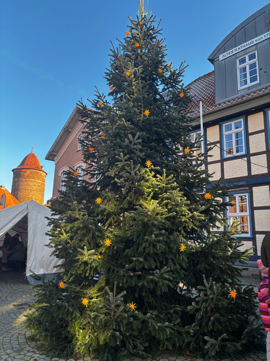 Weinachtsmarket. Данберг.