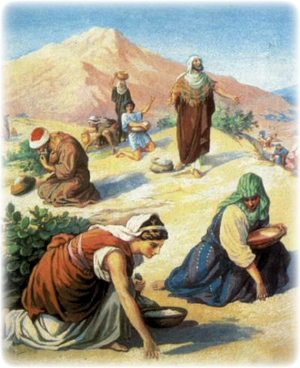 Источник: https://only.bible/children/ibt/43/