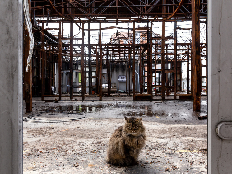 Фото: Dominika Zarzycka/Keystone Press Agency/Global Look Press