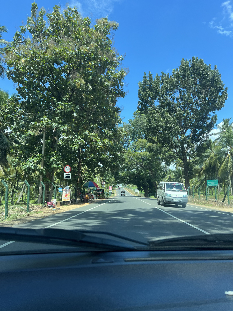 В путешествие на автомобиле есть свои плюсы. Например отличные виды пролетающие за окном.