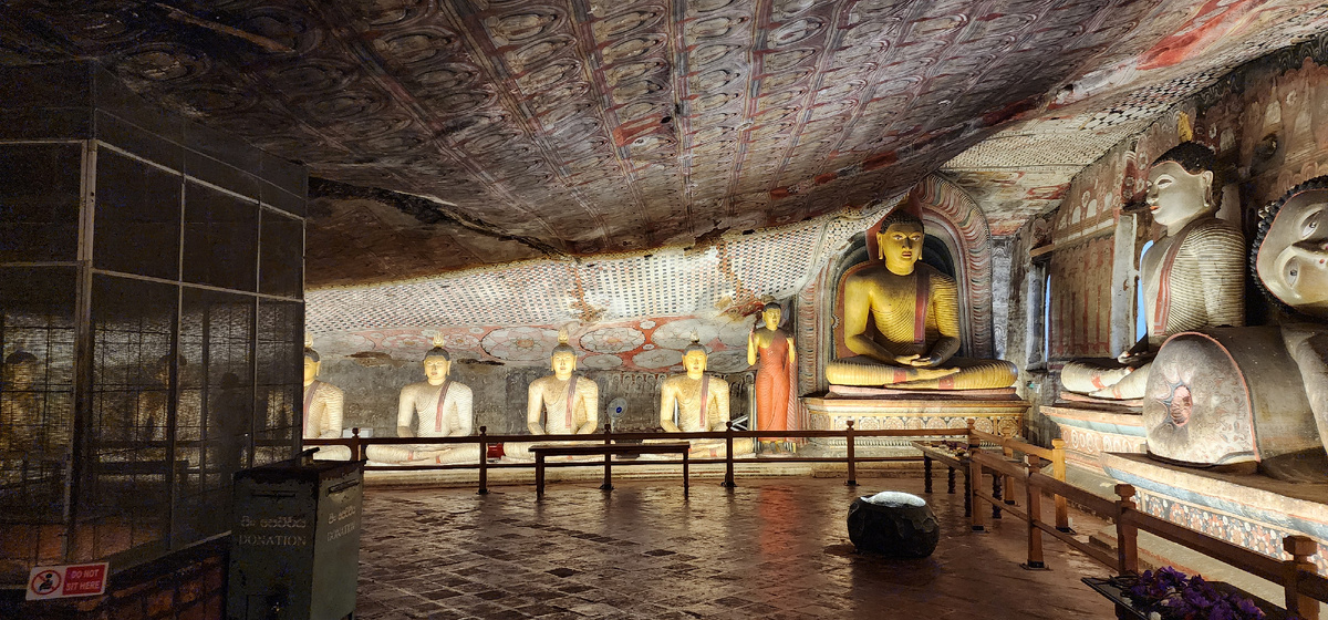 Такое количество буд в одном месте я никогда не видел.