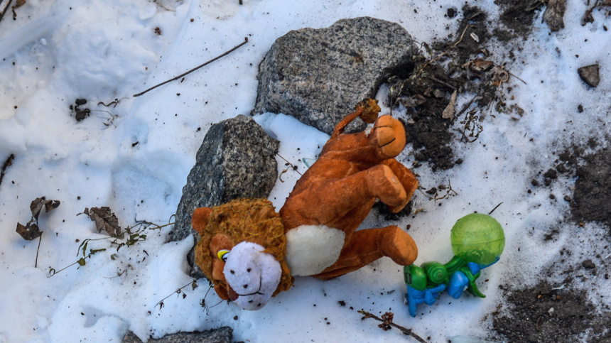    Фото: © РИА Новости/Игорь Чекачков