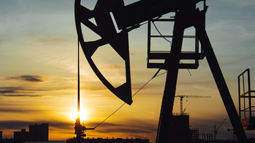    Фото: Oleg Spiridonov/Business Online/Globallookpress