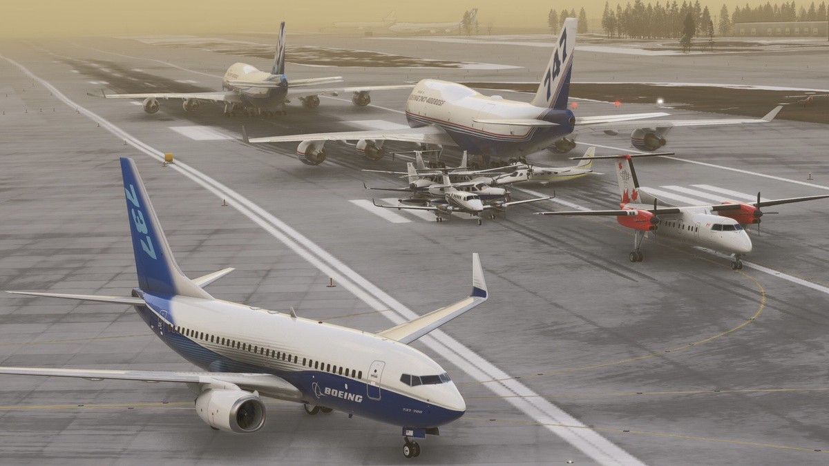 Скриншот из игры "Microsoft Flight Simulator 2024"