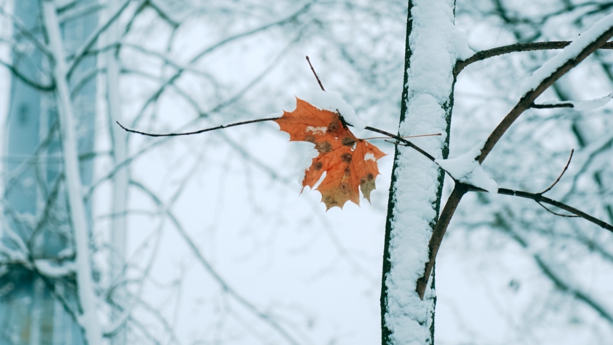 Светлана Мулыкина📷
