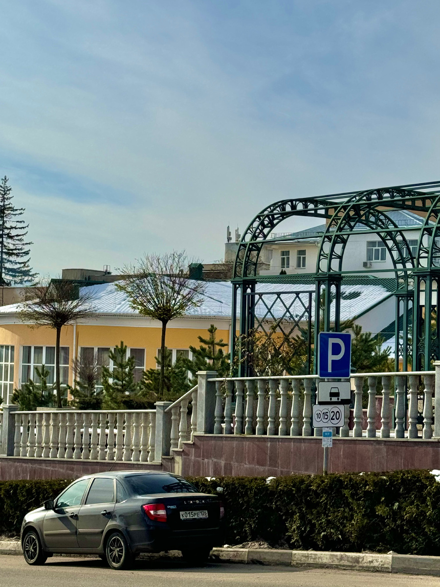 фото Сад в стиле Paradise ®