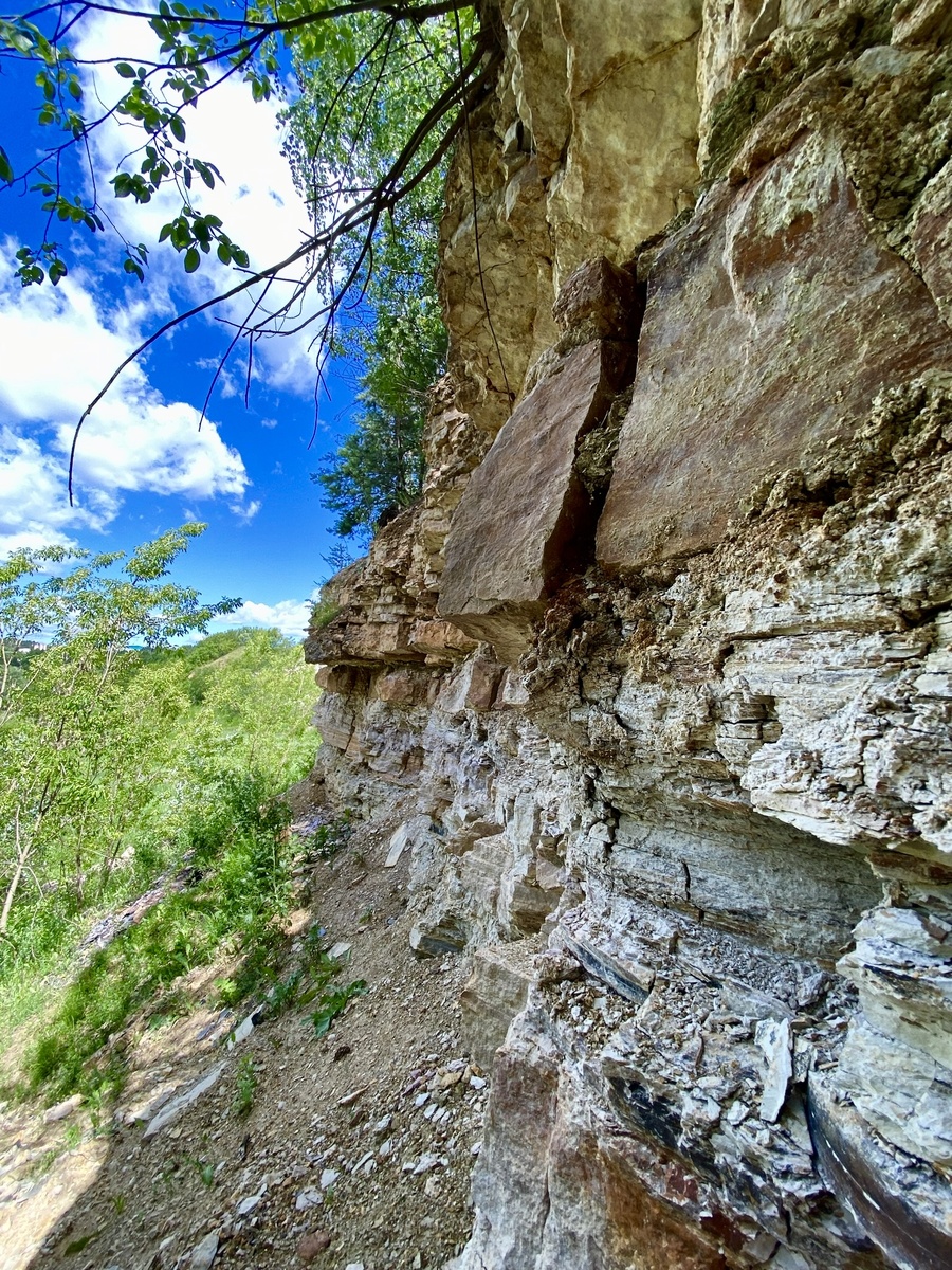 Карьер Заборье, 22.06.2024г