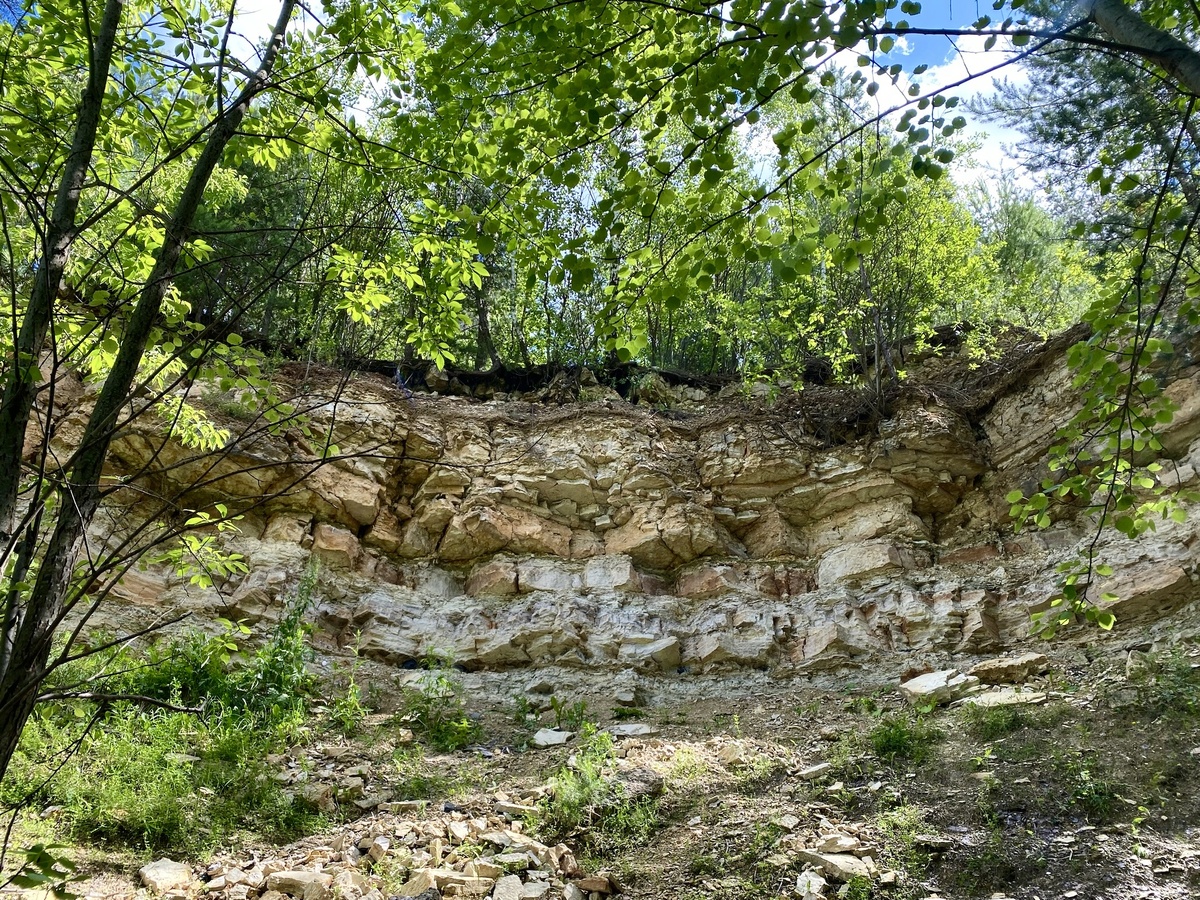 Карьер Заборье, 22.06.2024г