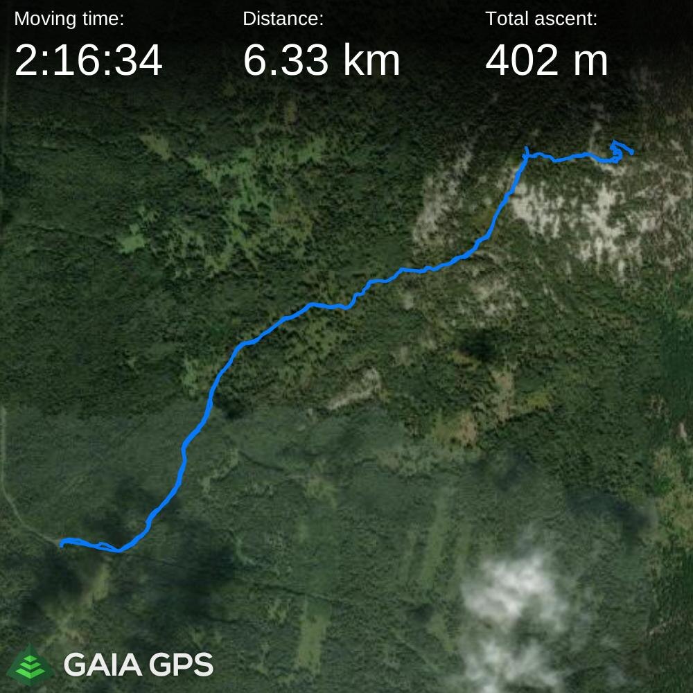 Параметры маршрута