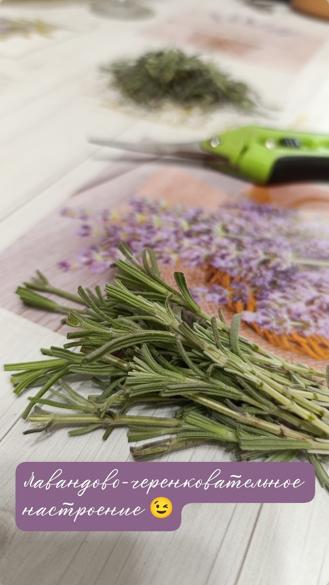 Настроение - это не просто предмет, сейчас оно есть, а потом его нет