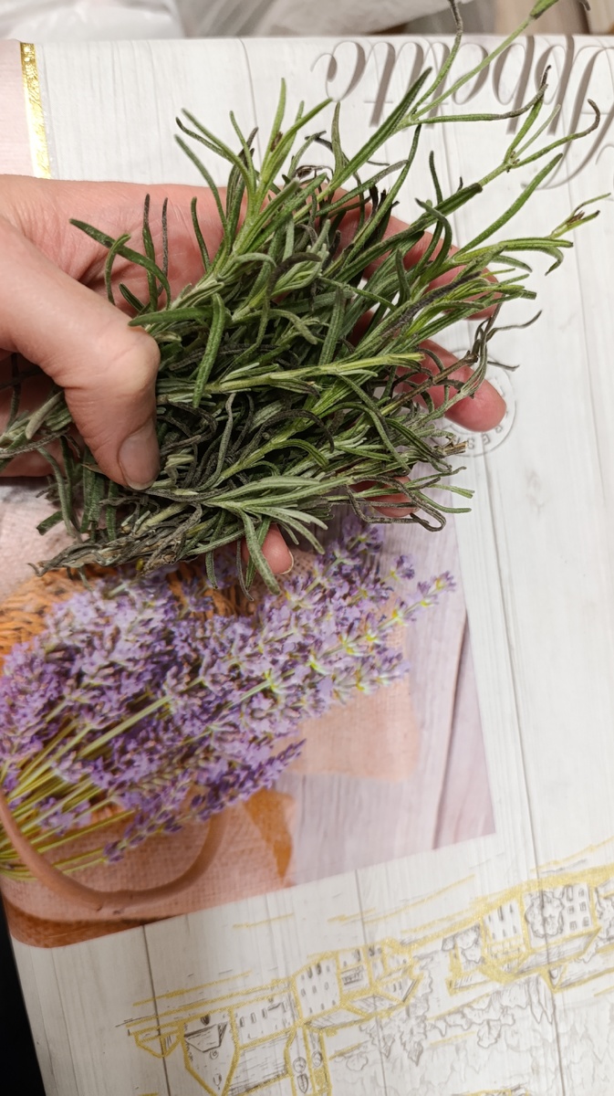 Сегодня посадила купленный накануне куст лаванды, у нас на юге это можно. Декабрь бывает теплый