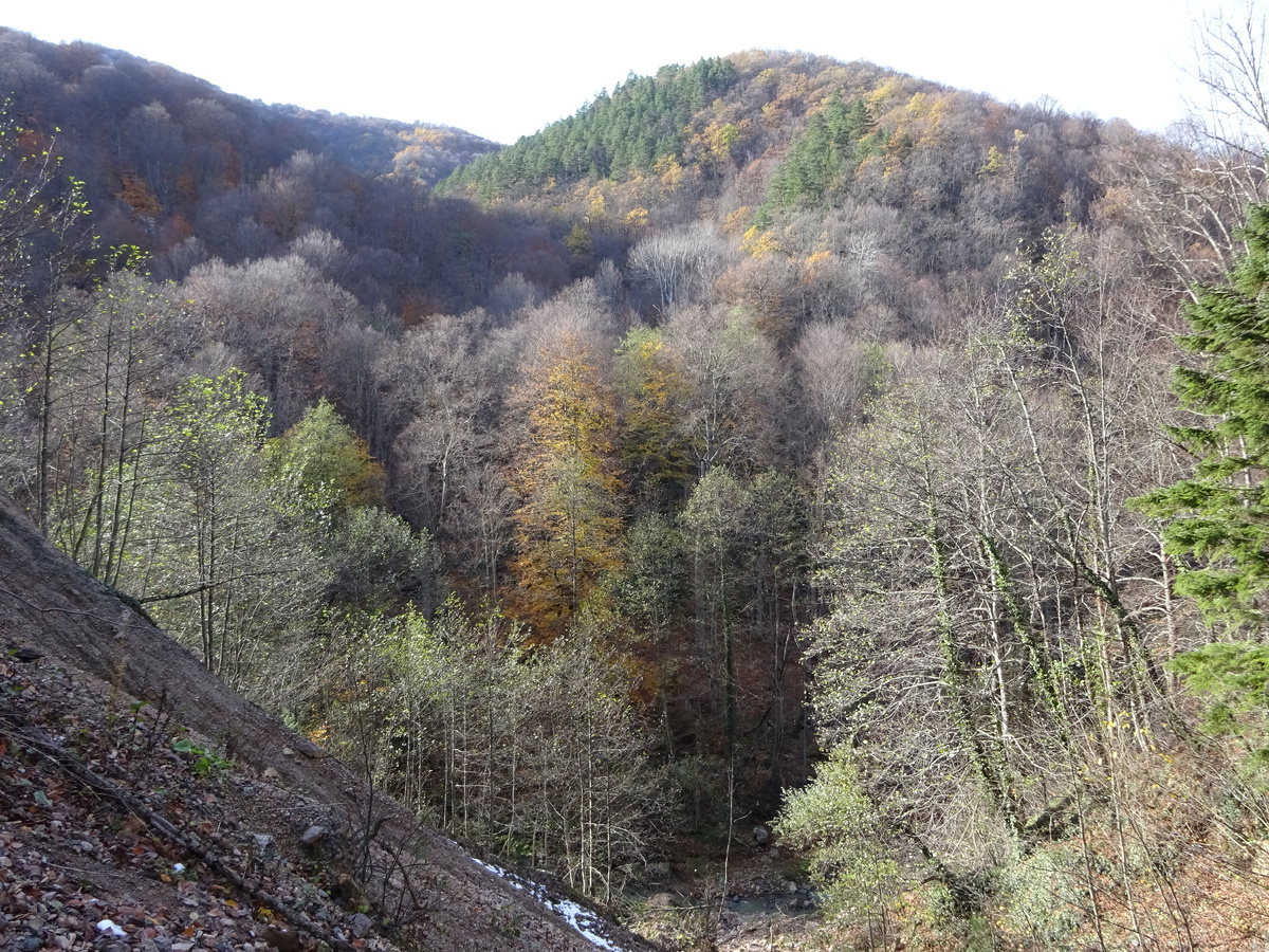 Горы светятся последними красками осени.