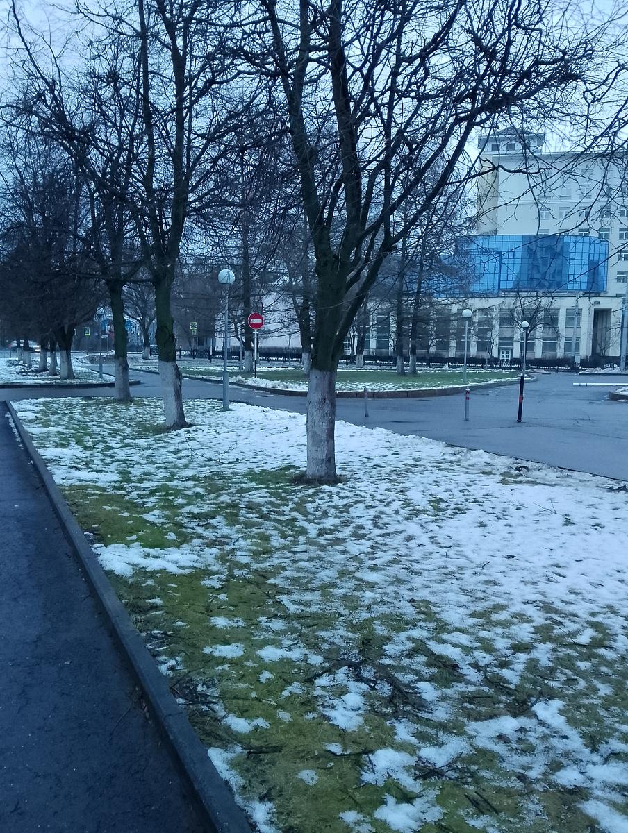 После ночного дождя снег немного остался только на газонах. Фото автора