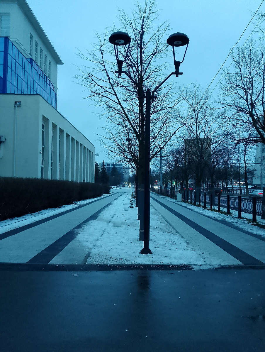 Серый день 31.10.2024. Фото автора