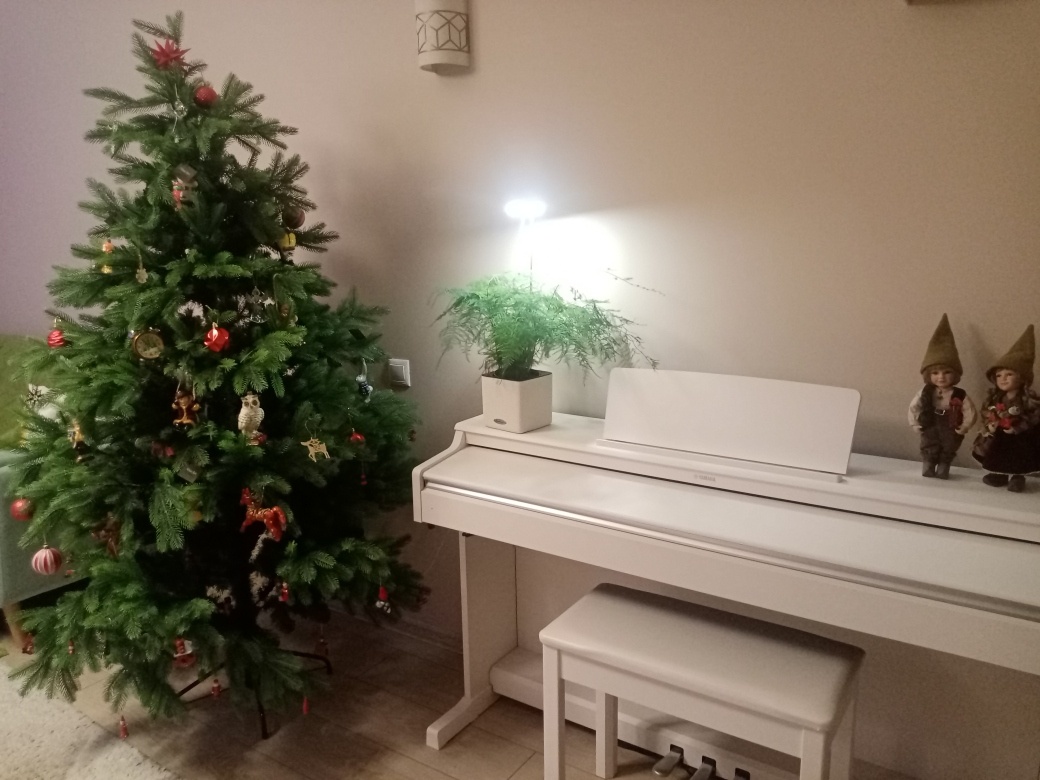 Мой любимый размер. И пышная, и росточком чуть выше меня. Фото автора