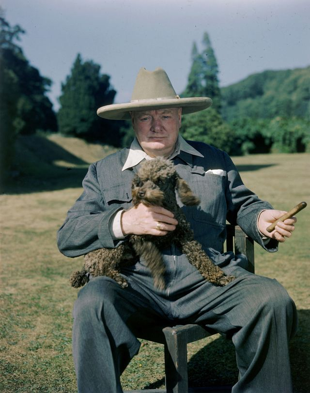 Уинстон Черчилль с пуделем Руфусом и сигарой в 1950 году в своем загородном поместье Чартвелл в графстве Кент. Фото: Марк Кауфман / Time & Life (Getty). Источник: ru.pinterest.com