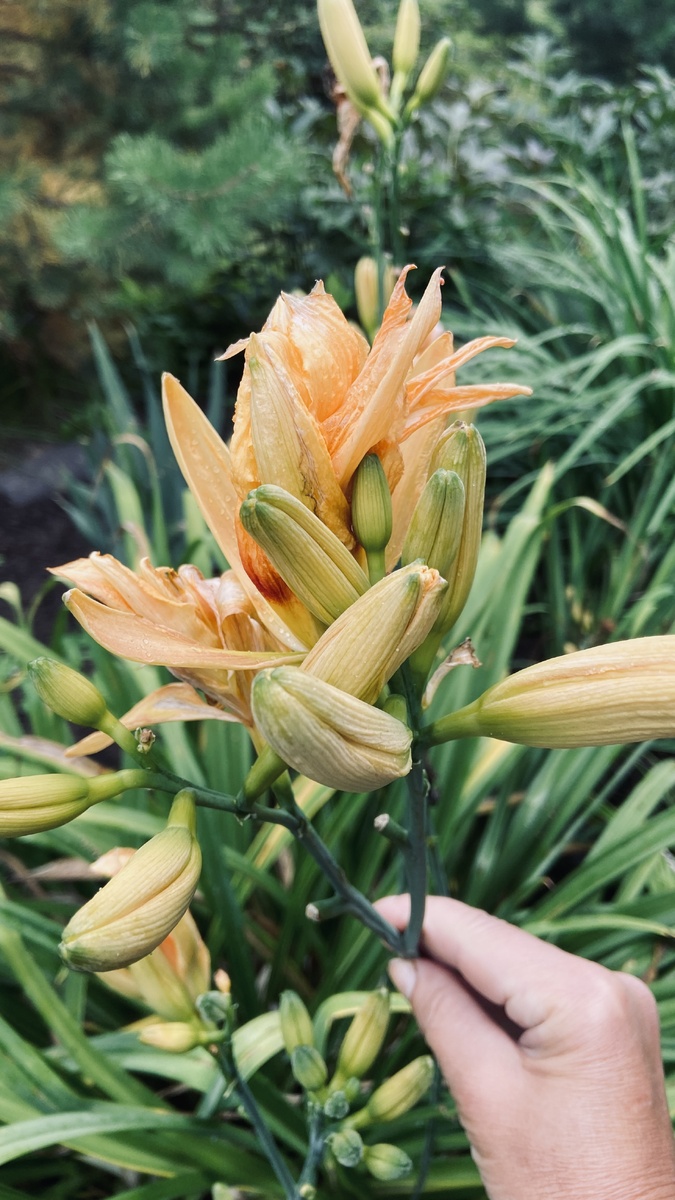 Сентябрь 2024 года