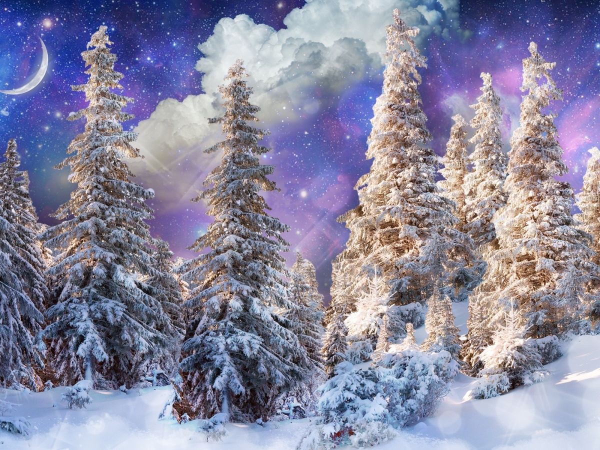 Фото из Интернета