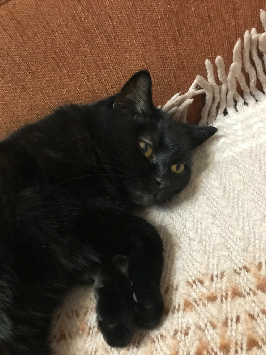 Фото автора