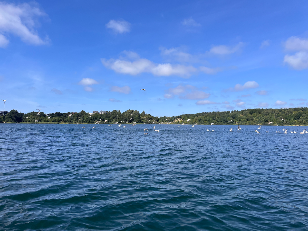 Практически центр Синявинского озера. Волн не видно, но там иногда прям волнит