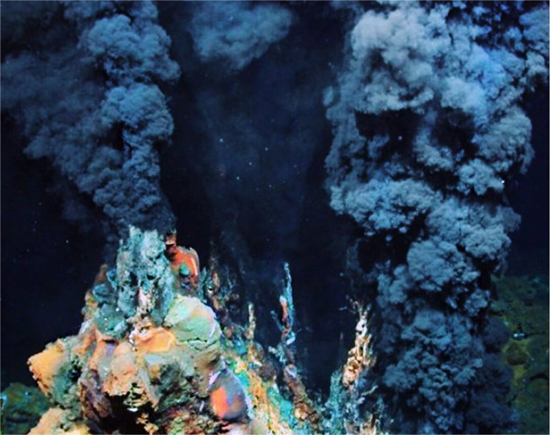 Примерно вот так выглядит дно Чёрного моря