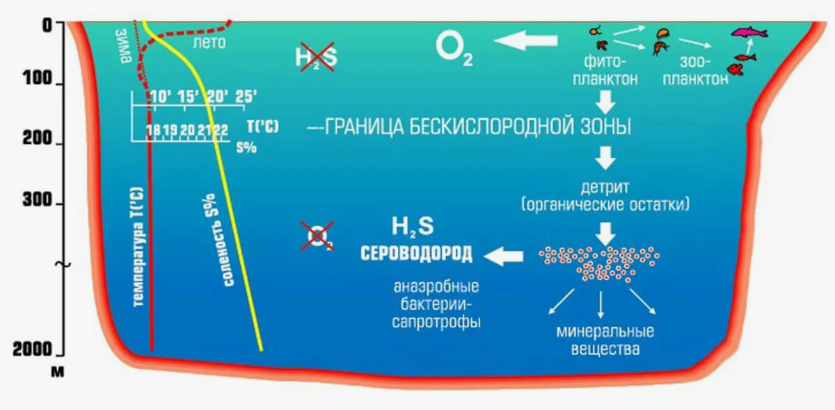 Схематичное изображение дна Чёрного моря