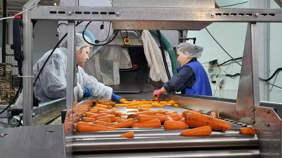     Источник: Администрация Волгоградской области