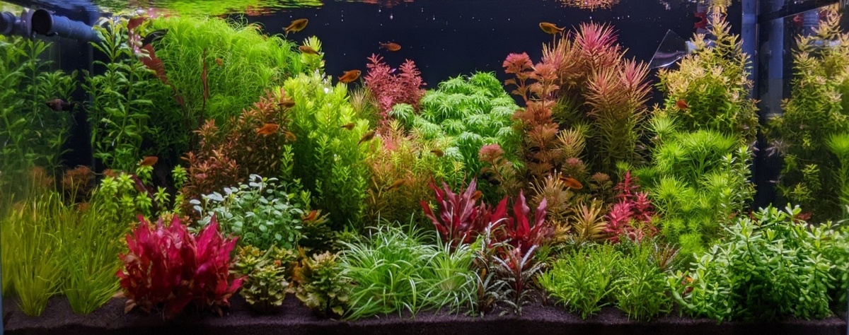 Фото: Андрей Дюжев, г. Канаш