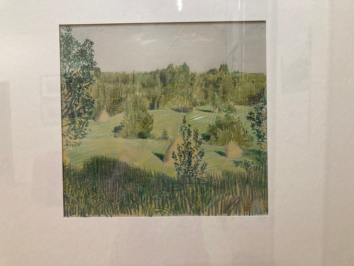 Картина М.Шабаева