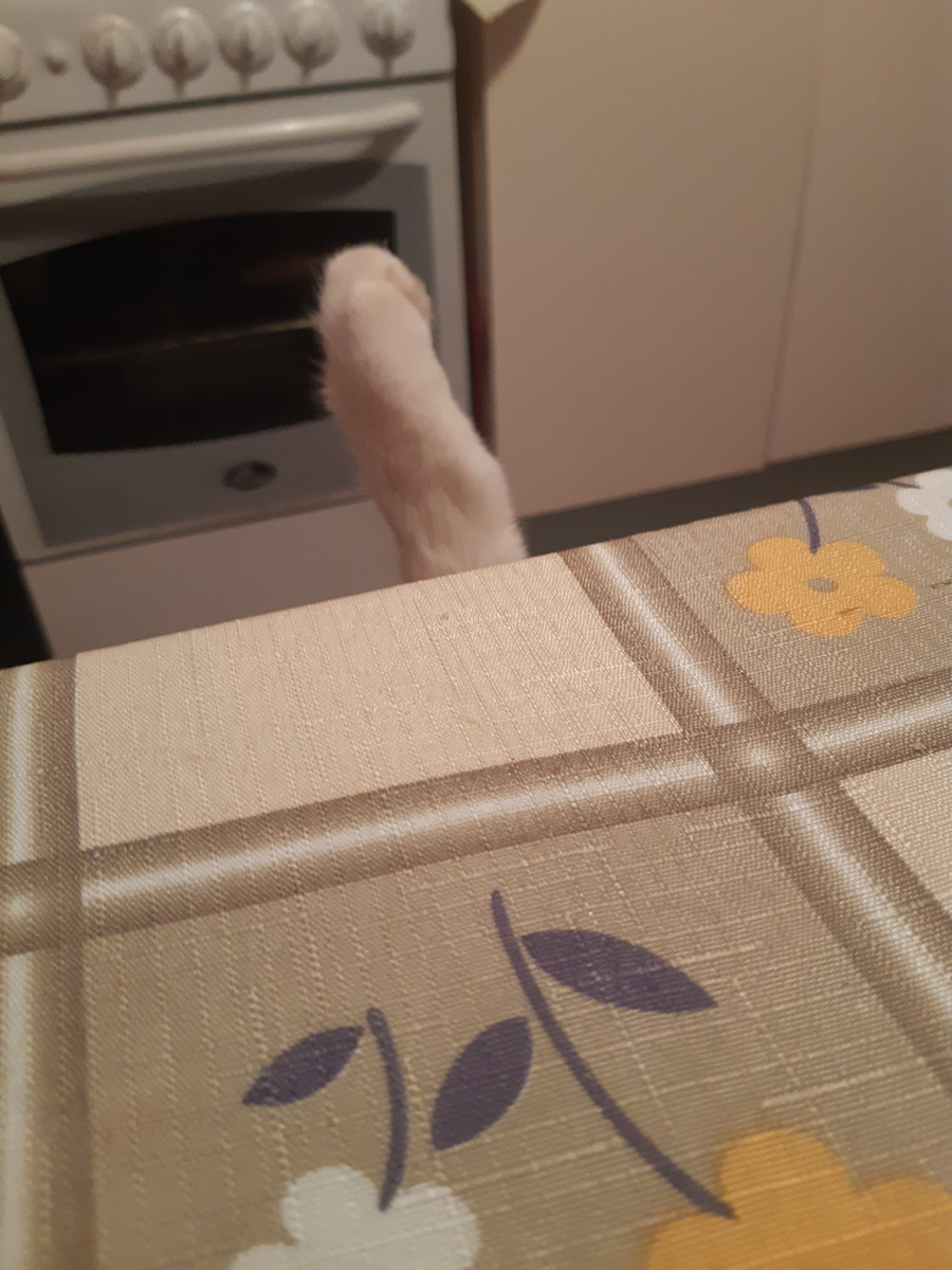 Это Китина лапа.