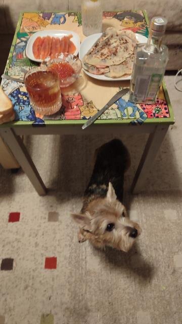 Котиков не видно, как и жены. Но они есть ))