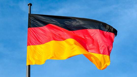    В Германии заявили об отсутствии доказательств причастности России к крушению самолета DHL в Литве Богдан Герцен