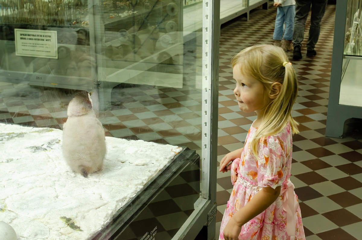 Героиня рассказа о чем-то задумалась. Формулирует очередной вопрос, не иначе.