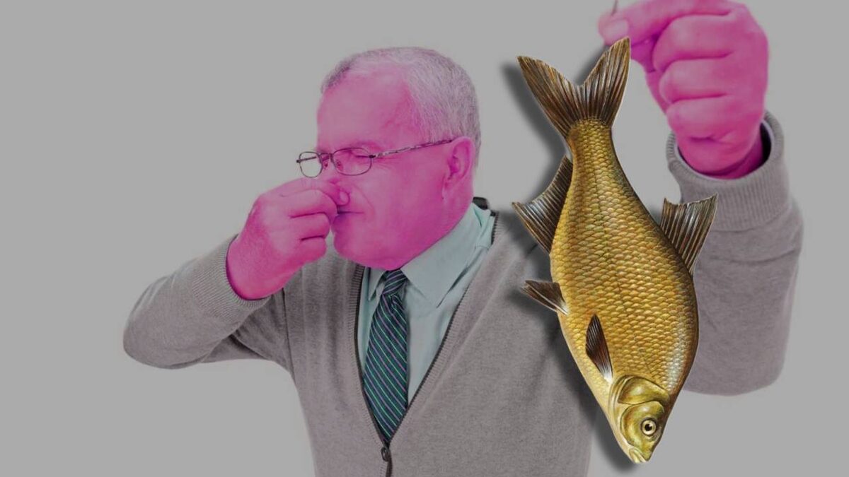 Рыба протухла