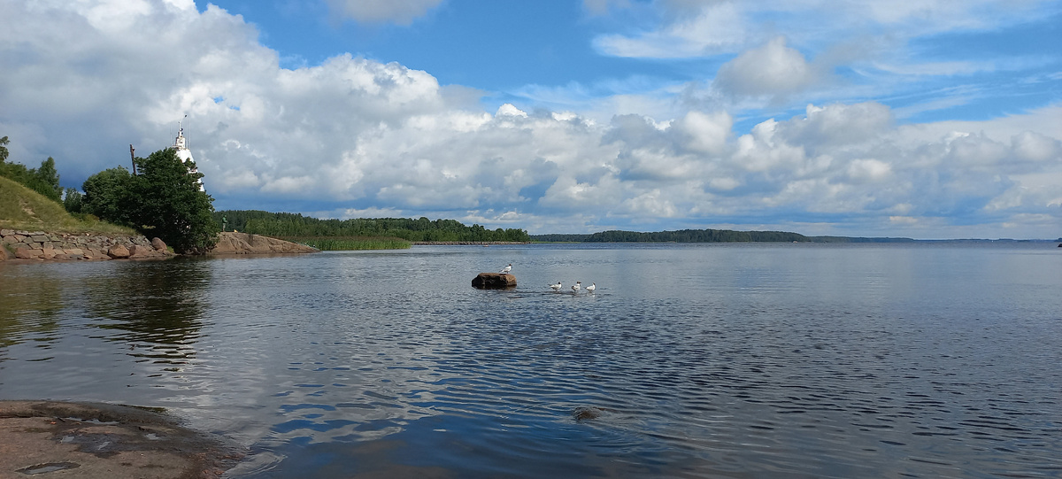 Маяк, чайки