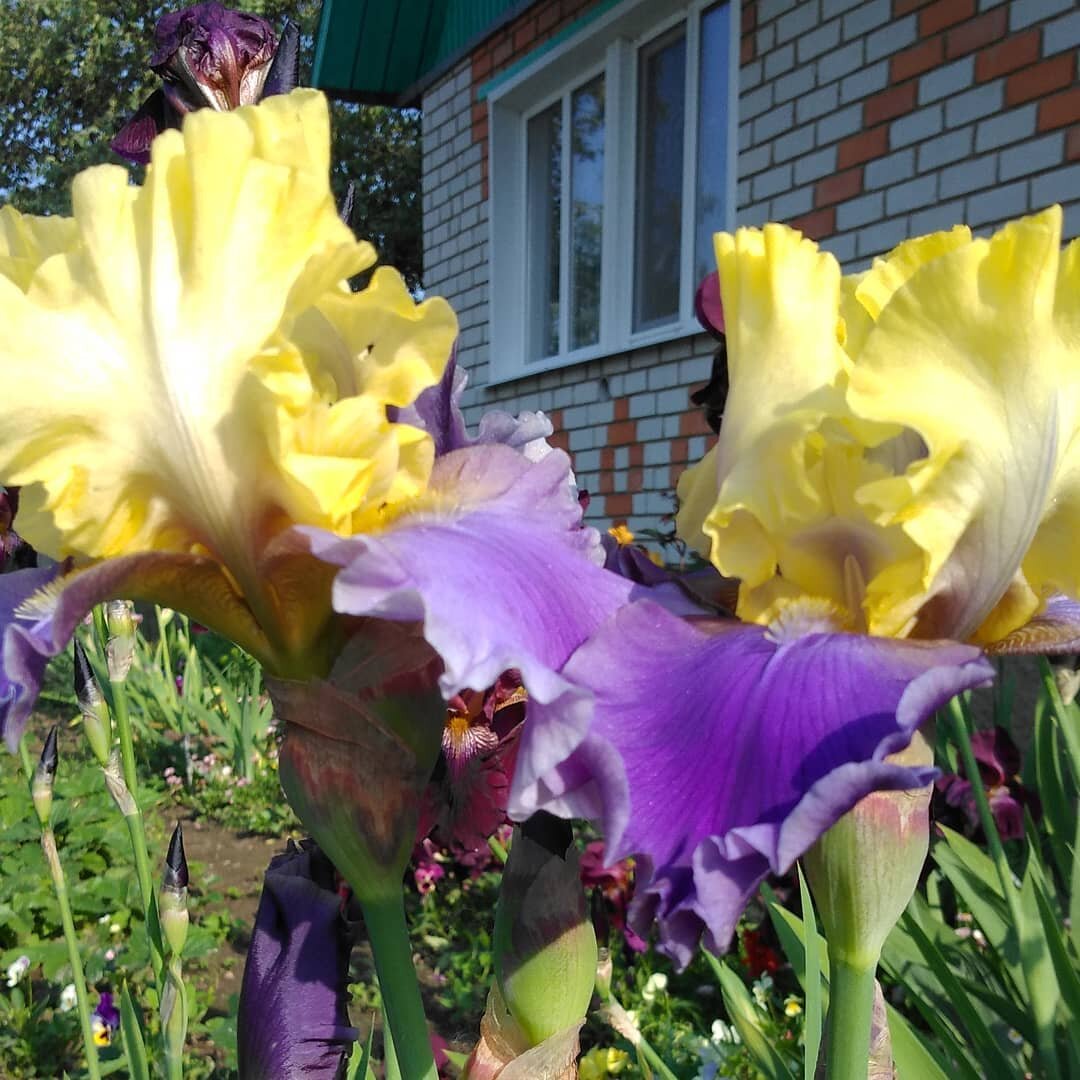 Не хватает лета))